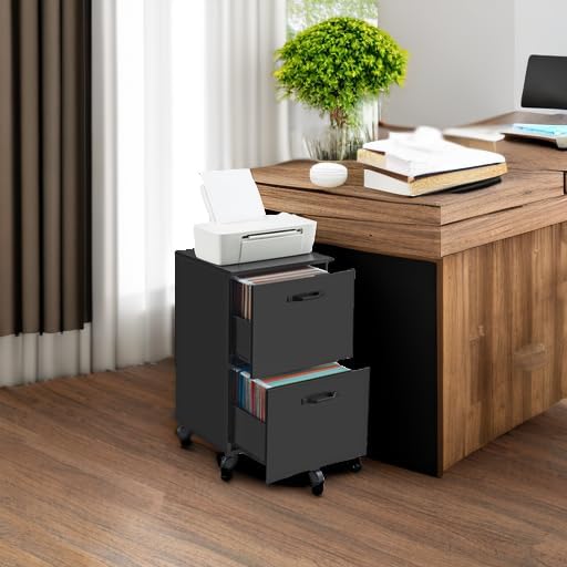 VASAGLE 2-Drawer File Cabinet, Small Rolling Filing Cabinet for Home Office, Printer Stand, for A4, Letter-Size Documents, 15.7 x 16.5 x 27.6 Inches, Matte Black UOFC040B16