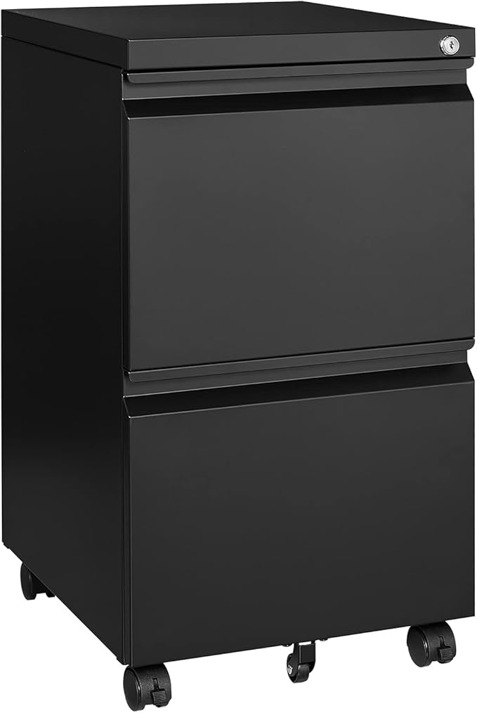 MIIIKO 2 Drawer File Cabinet on Wheels, Home Office Mobile Under Desk with Lock, Vertical Files Drawers for Legal/Letter/A4,Fully Assembled