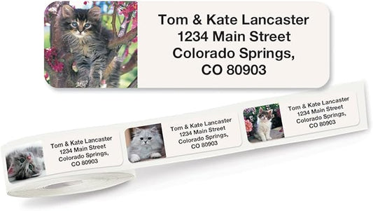 Cute Kittens Rolled Personalized Return Address Mailing Labels with Dispenser, Set of 500, 5 Designs, Small ¾ x 2½ Inch Size, Custom Self-Adhesive Sticker Roll, by Colorful Images