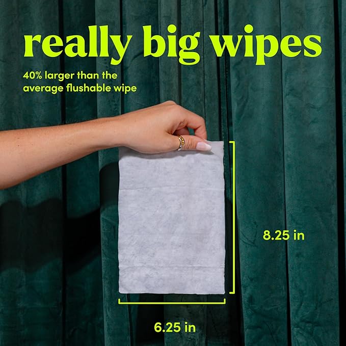 goodwipes Flushable Butt Wipes - Vitamin E & Aloe - Sewer & Septic Safe - Extra Large Adult Wet Wipes For Women & Men - Bathroom Essentials - Shea Coco, 418 Count (8 Packs + 1 Travel)